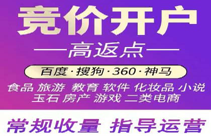 SEM推广竞价托管成功案例解析